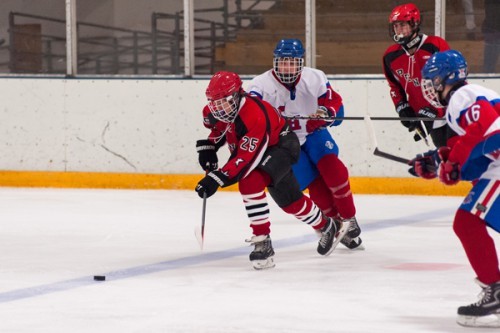 A young boy wears a red hockey uniform on ice during a hockey game.