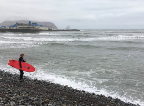 Alexander poses in front of the water with a surfboard